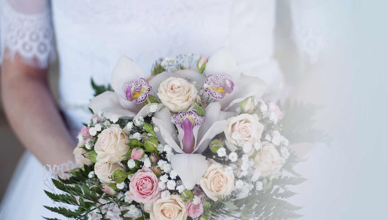 novias grid